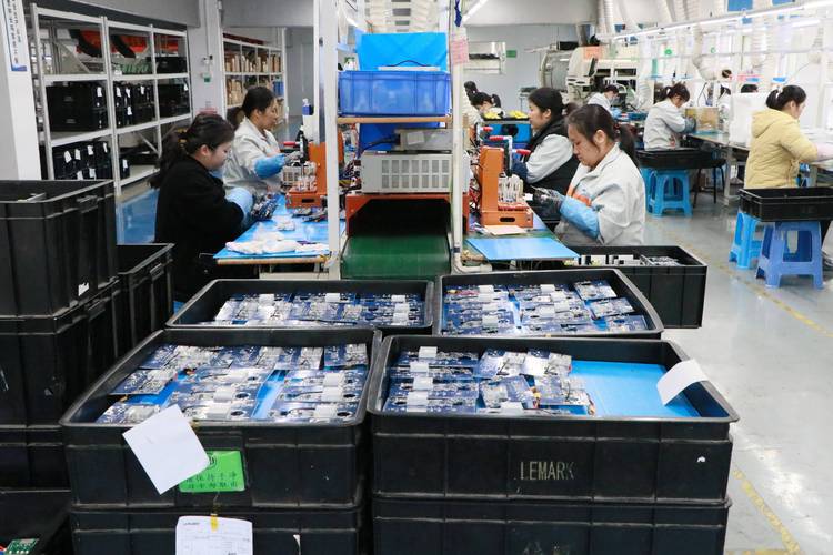 新春奋进正当时，封开职业中介开启发展新局